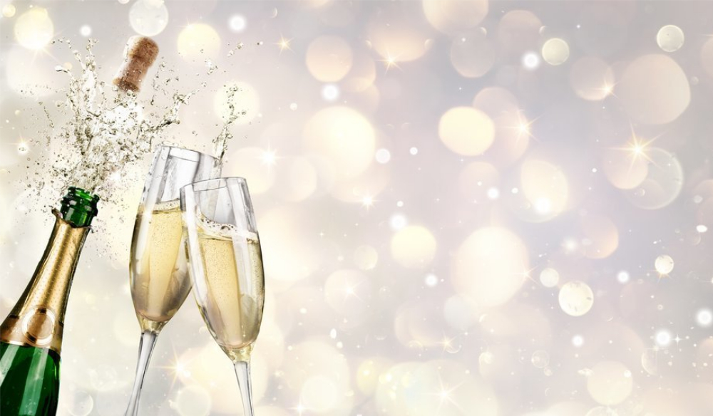 Top Articles of 2021: A Compilation of Our Favorites