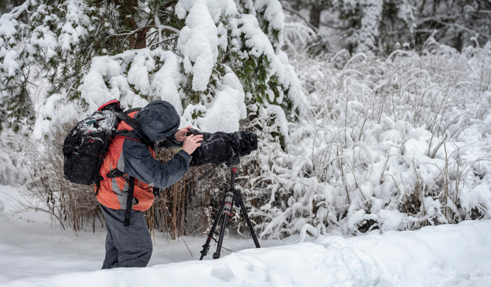 7 Reasons Why Your Film Was Rejected by Major Film Festivals