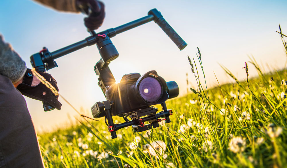 Nature’s Lighting: A Comprehensive Guide to Shooting with or Against the Sun