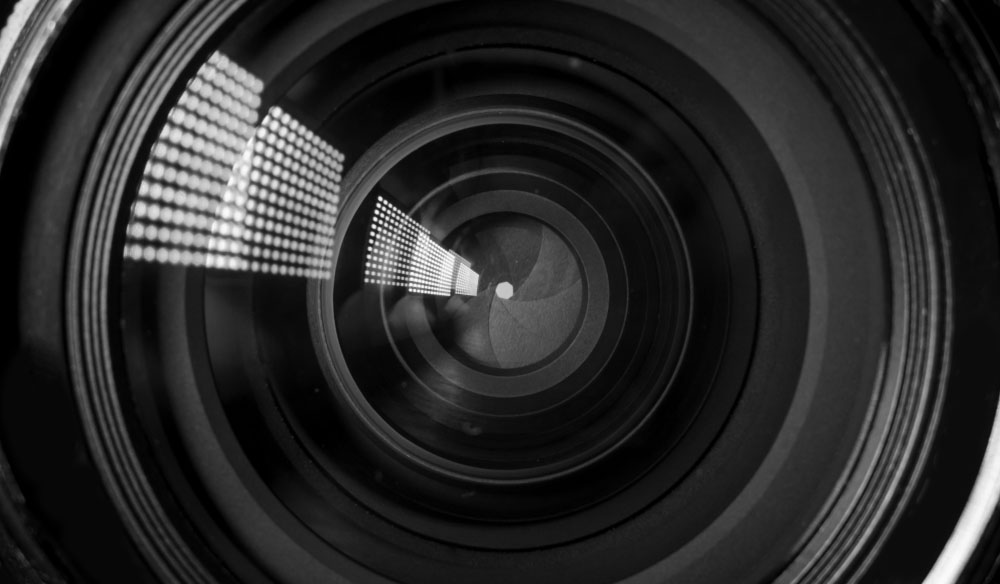 Buyer’s Guide: Top Macro Lenses Available Now