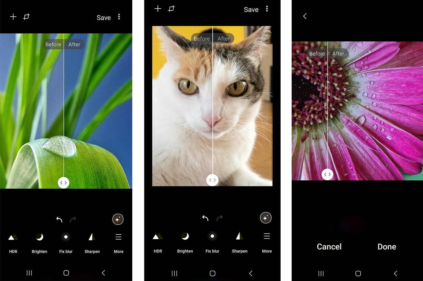 Galaxy Enhance-X App Revolutionizes Image Editing with AI Power by Jose Antunes – ProVideo Coalition